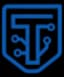Teerdox Technologies Logo